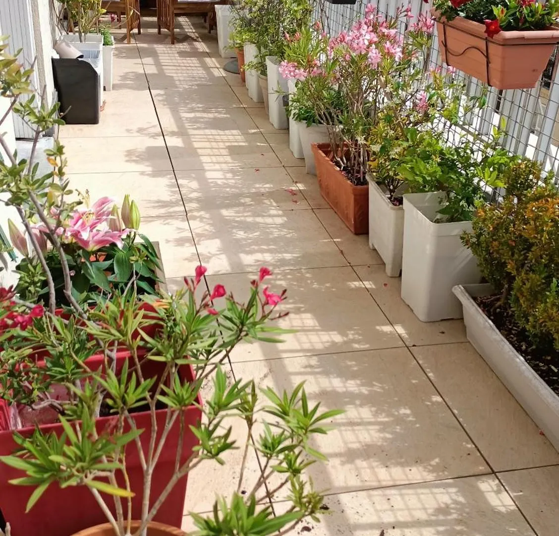 Floor & Terrace With View