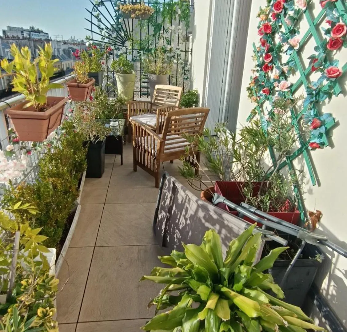 Floor & Terrace With View Apartment