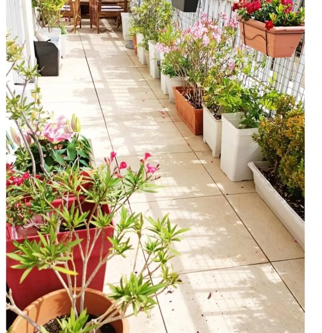 Apartment Floor & Terrace With View